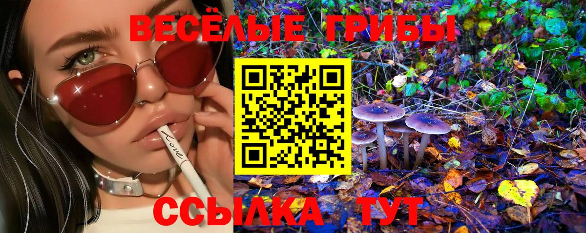 Псилоцибиновые грибы Magic Shrooms Железноводск