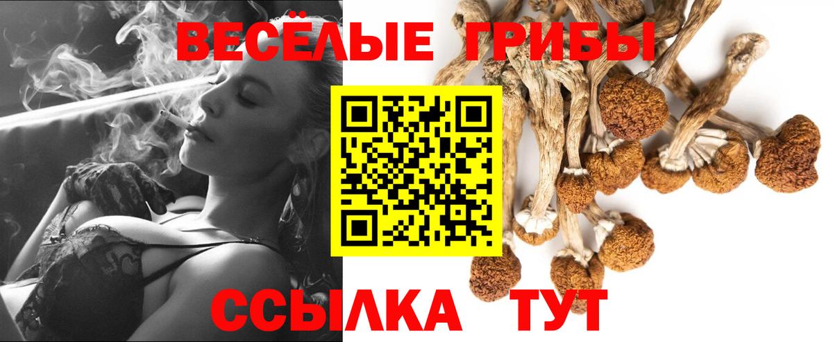 Железноводск  Псилоцибиновые грибы ЛСД  Вход с VPN 